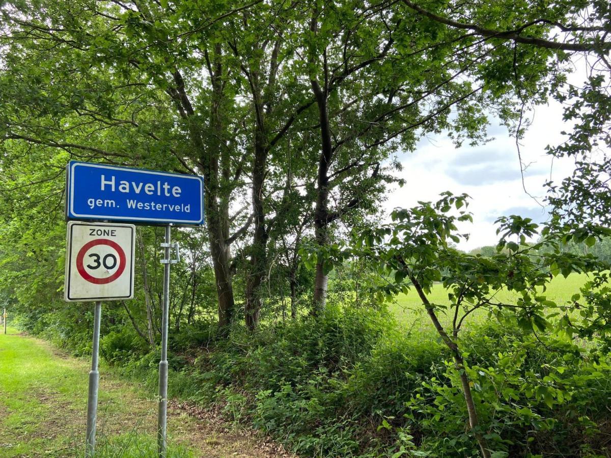 Het Grote Paard Daire Havelte Dış mekan fotoğraf